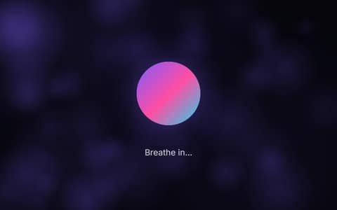 Breathing Circle — free full-screen tool preview