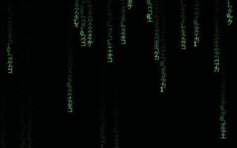 Matrix Rain — free full-screen tool preview
